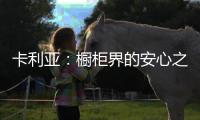 卡利亚：橱柜界的安心之选