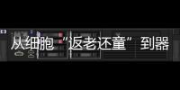 从细胞“返老还童”到器官再生：干细胞治疗离我们还有多远？