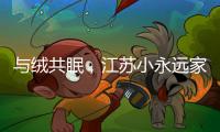 与绒共眠，江苏小永远家纺家居用品给睡眠升级