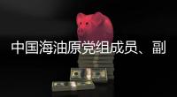 中国海油原党组成员、副总经理袁光宇接受审查调查