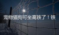 宠物猫狗可坐高铁了！铁路12306推出“宠物托运”功能