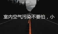 室内空气污染不要怕，小海鸥贝壳粉还你清新空气!