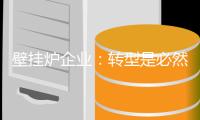 壁挂炉企业：转型是必然 树立竞争优势是重点