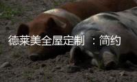 德莱美全屋定制 
：简约时尚，格调十足