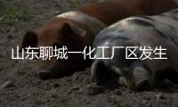 山东聊城一化工厂区发生爆炸	，致5死1伤1失联