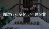 面对行业变化，灶具企业的准确切入点在哪里?
