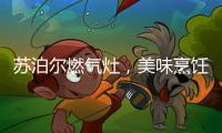 苏泊尔燃气灶，美味烹饪开启低碳生活