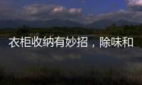 衣柜收纳有妙招，除味和保养也重要