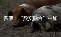 贾康�：“数实融合”中加速现代化产业体系构建升级