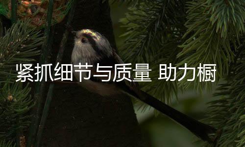 对产品的细节续质量把关不严
