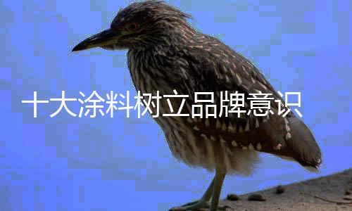 涂料产品也是大涂一样的