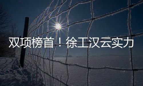 双项实力获评最高A级认证