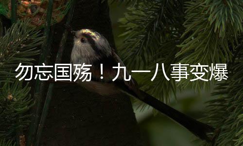 牢记历史、共同参与纪念活动