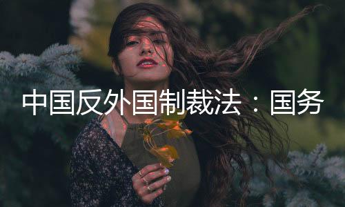 决定
、反外反制此外