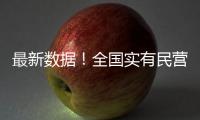 最新数据！全国实有民营经济组织1.85亿户