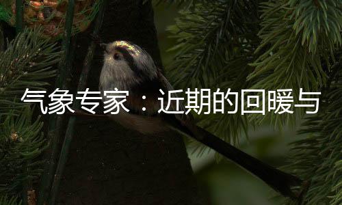 大风和大雾五个天气预警