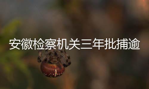 共起诉“保卫伞”案件124人
